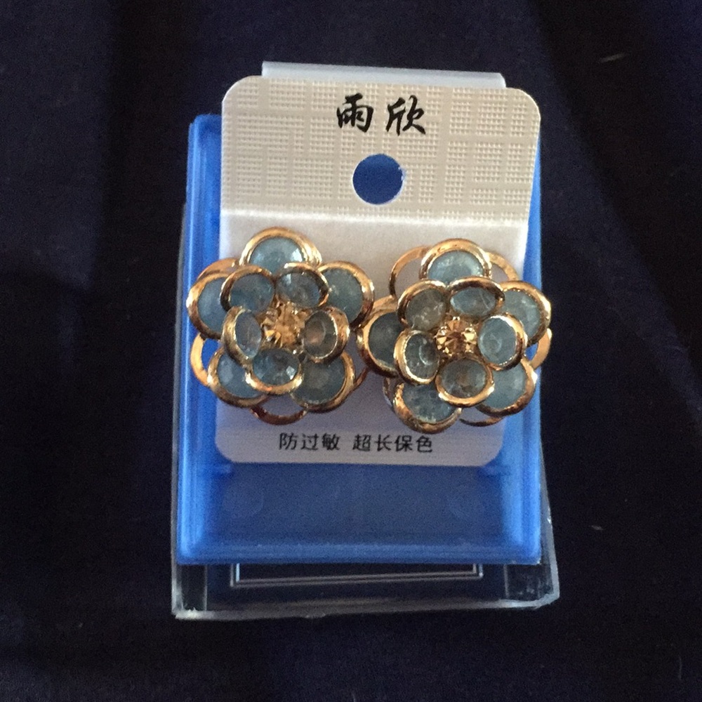 Pierced earrings